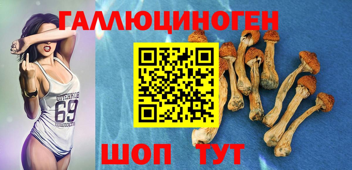 Южно-Сахалинск  Псилоцибиновые грибы GOLDEN TEACHER  Вход с VPN 